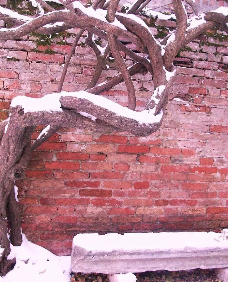 ホテル Relais Alcova Del Doge ミーラ